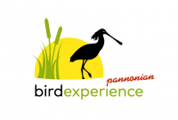 6. Österreichische BirdExperience von 24. - 26.04.2015 im Nationalpark Neusiedler See – Seewinkel