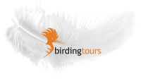 Vogelreisen in die ganze Welt mit birdingtours