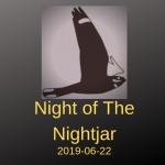 Night of the Nightjar am 22.06.2019